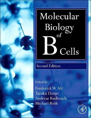 Molecular Biology of B Cells | Zookal Textbooks | Zookal Textbooks