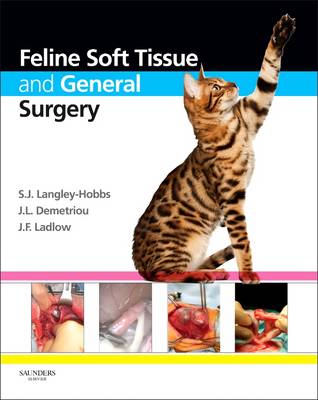 Feline General and Oncological Surgery 1e | Zookal Textbooks | Zookal Textbooks