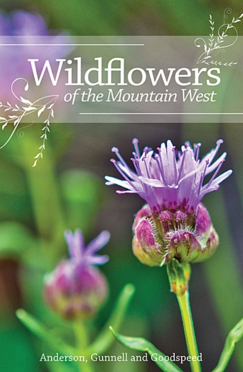 Wildflowers of the Mountain West | Zookal Textbooks | Zookal Textbooks