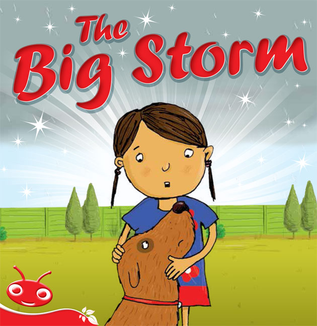 Bug Club Level  5 - Red: The Big Storm (Reading Level 5/F&P Level D) | Zookal Textbooks | Zookal Textbooks
