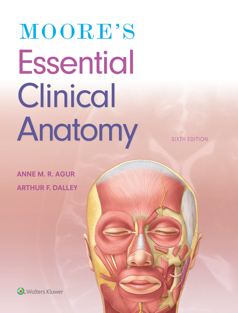 Moore's Essential Clinical Anatomy | Zookal Textbooks | Zookal Textbooks