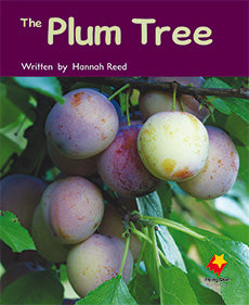 The Plum Tree | Zookal Textbooks | Zookal Textbooks