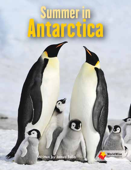 Summer in Antarctica | Zookal Textbooks | Zookal Textbooks